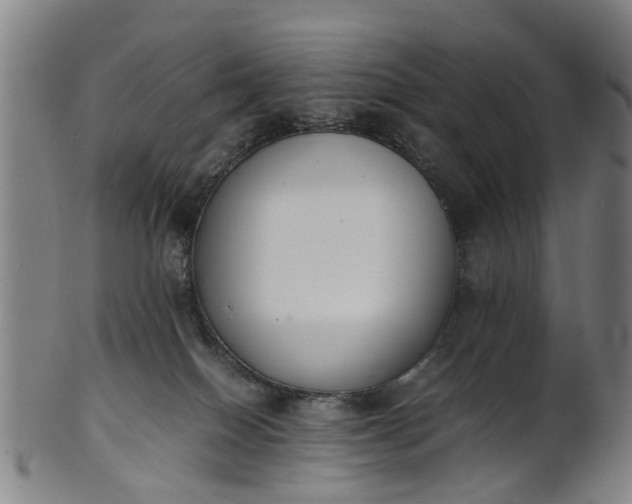 X0000101660086200807241427