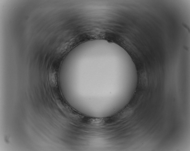 X0000101660088200807241427