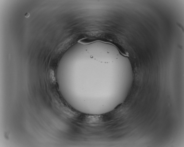 X0000101660089200807241427