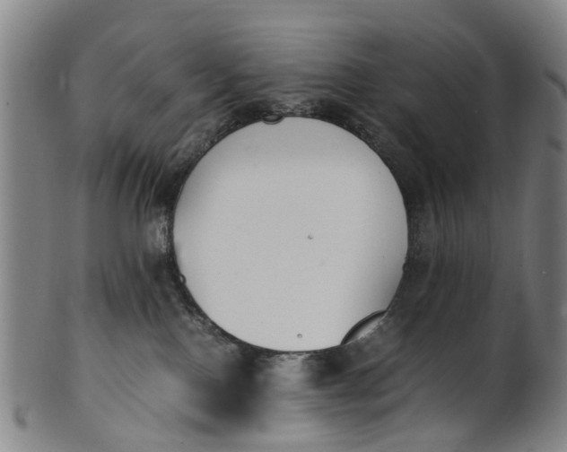 X0000101660090200807241427