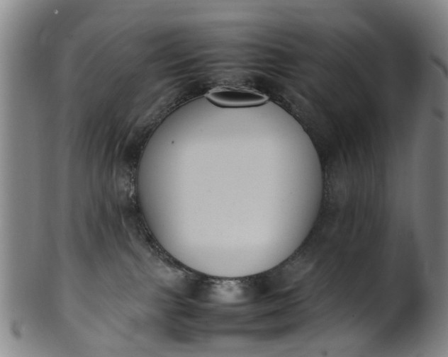 X0000101660091200807241427