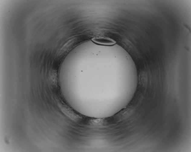 X0000101660092200807241427