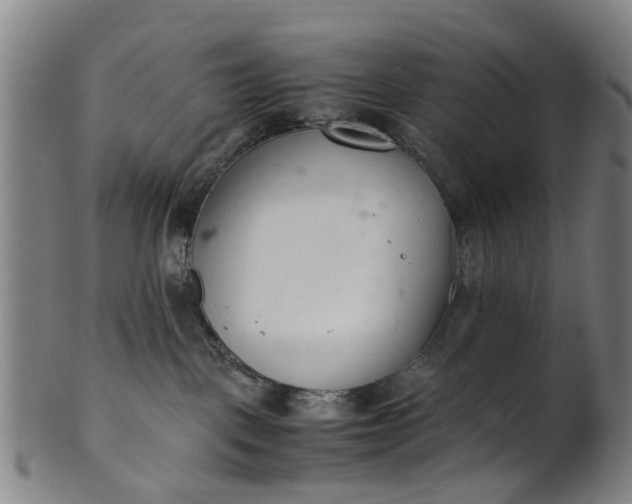 X0000101660093200807241427