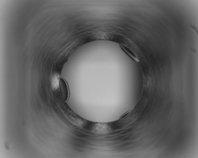 X0000101660095200807241427