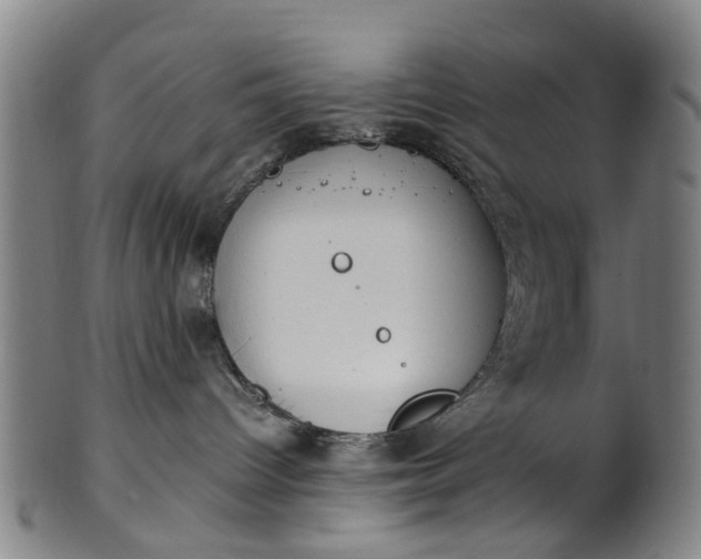 X0000101660096200807241427