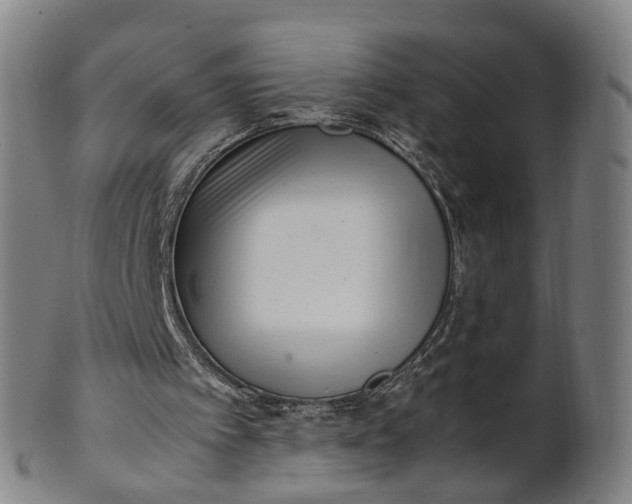 X0000101660097200807241426