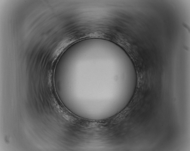 X0000101660098200807241426