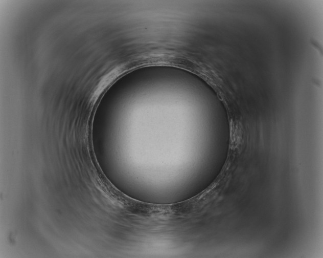 X0000101660099200807241426