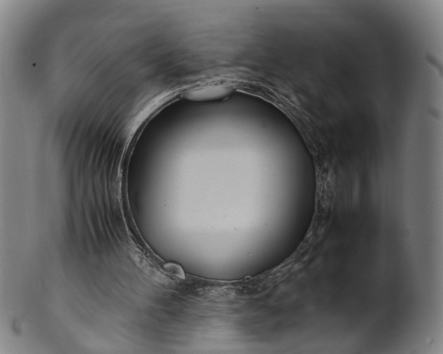 X0000101660100200807241426