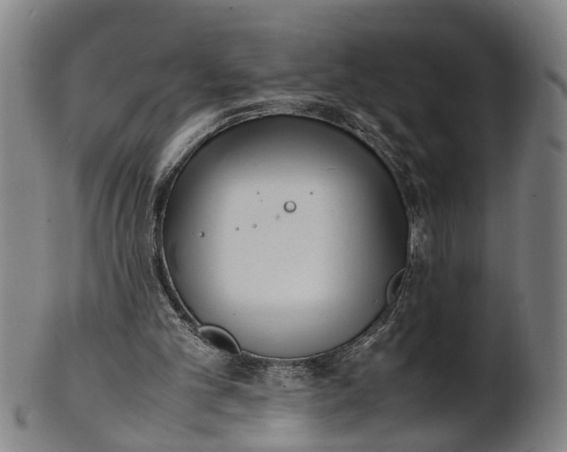 X0000101660101200807241426