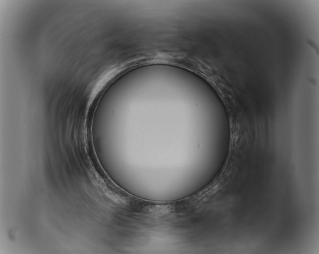 X0000101660102200807241426