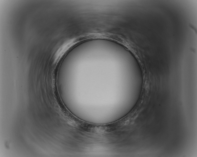 X0000101660103200807241426