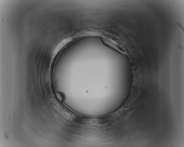 X0000101660104200807241426