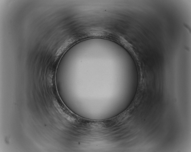 X0000101660106200807241426