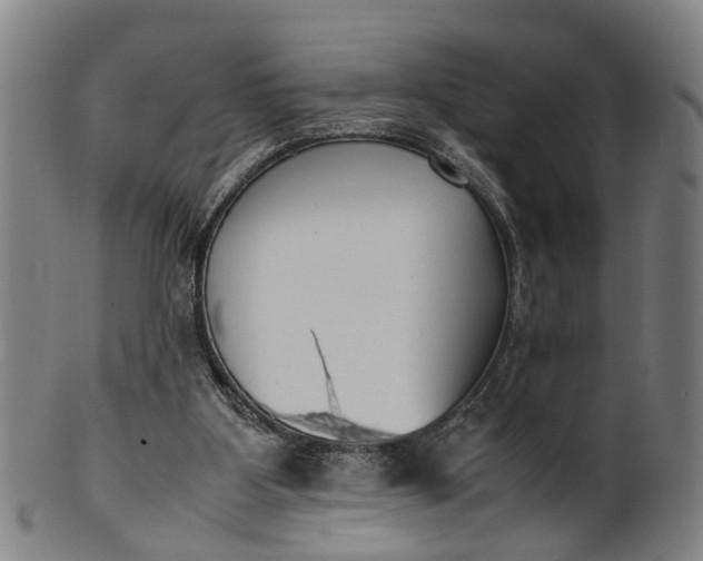 X0000101660107200807241426