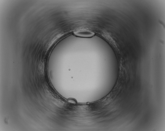 X0000101660108200807241426