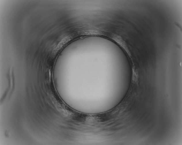 X0000101660109200807241426