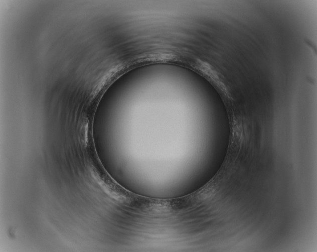 X0000101660110200807241426