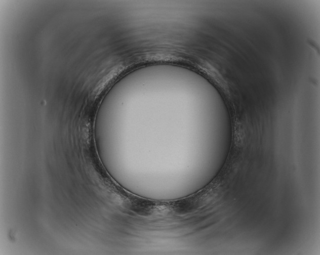 X0000101660111200807241426