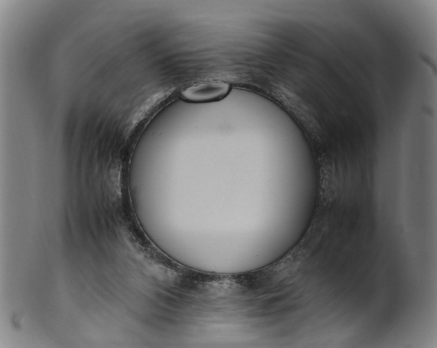 X0000101660112200807241426