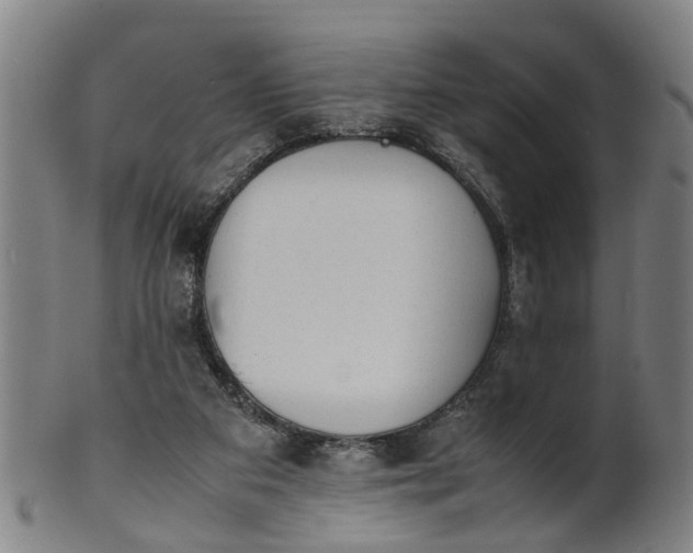 X0000101660113200807241426