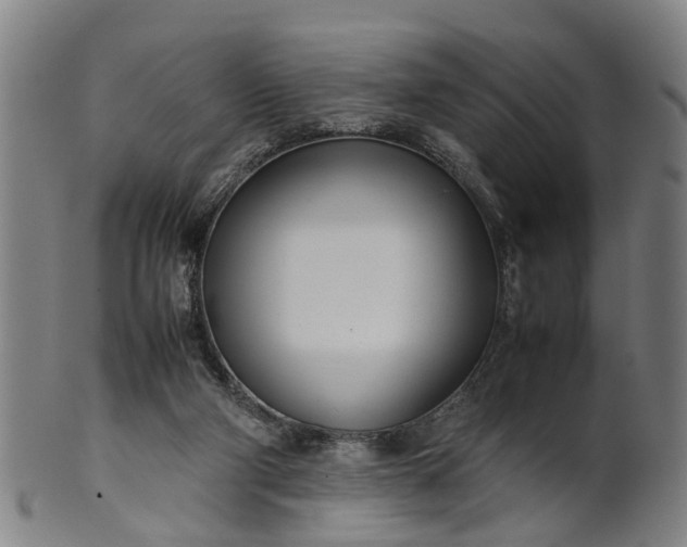 X0000101660114200807241426