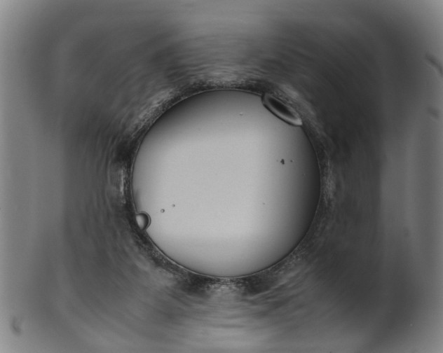 X0000101660115200807241426