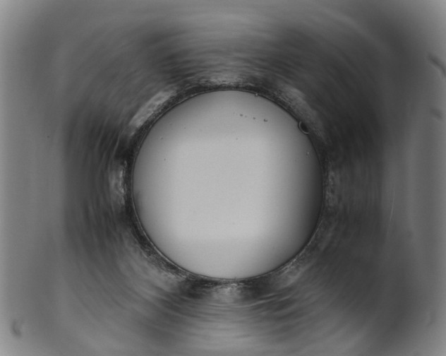 X0000101660116200807241426