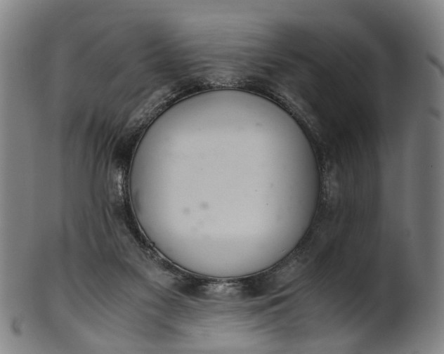 X0000101660117200807241426