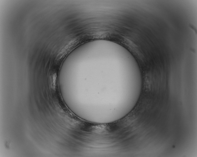 X0000101660118200807241426