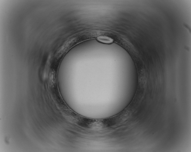 X0000101660119200807241426