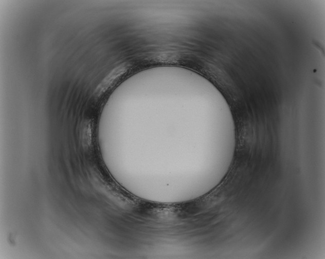 X0000101660120200807241426