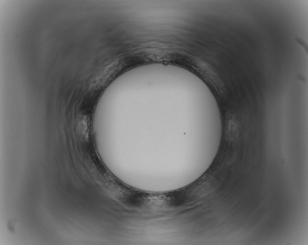 X0000101660121200807241426