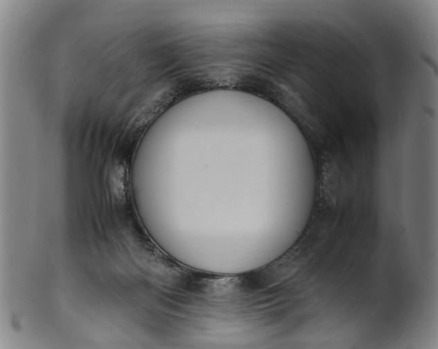 X0000101660122200807241426