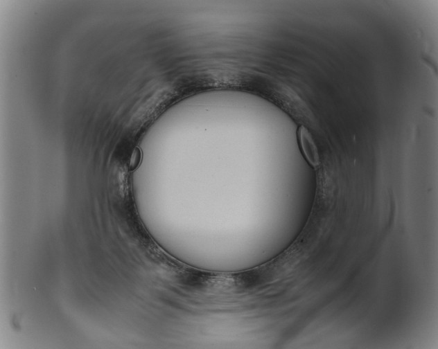 X0000101660123200807241426