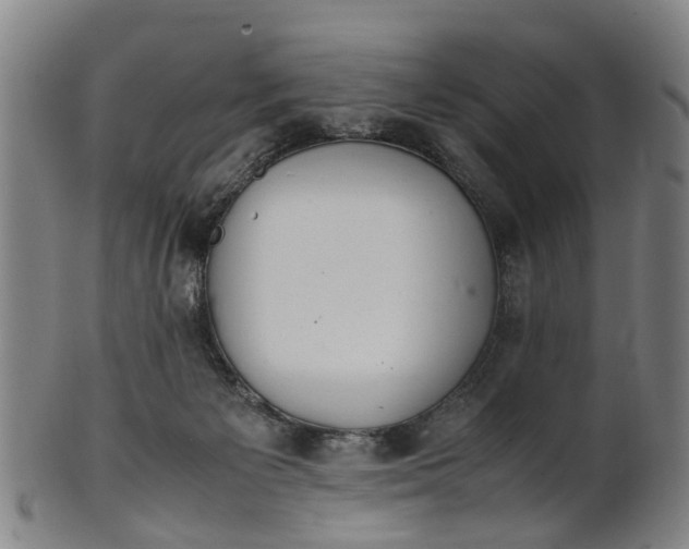 X0000101660125200807241426