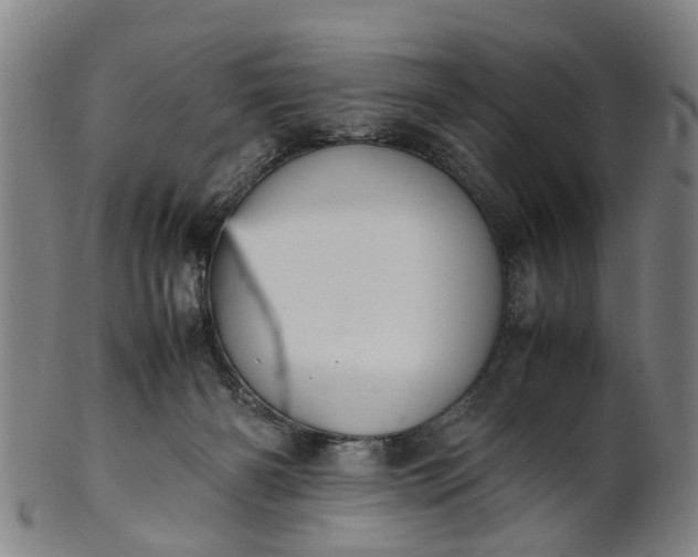 X0000101660126200807241426