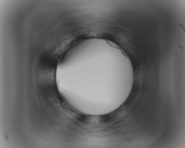 X0000101660127200807241426