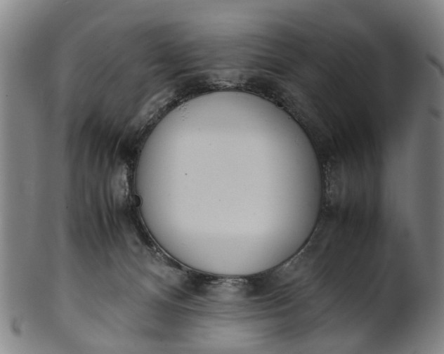 X0000101660128200807241426