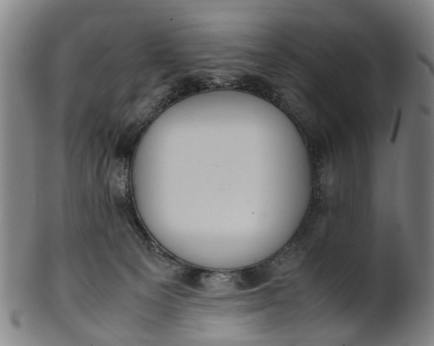 X0000101660129200807241426