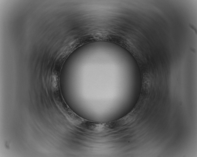 X0000101660130200807241426