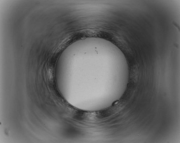 X0000101660131200807241426