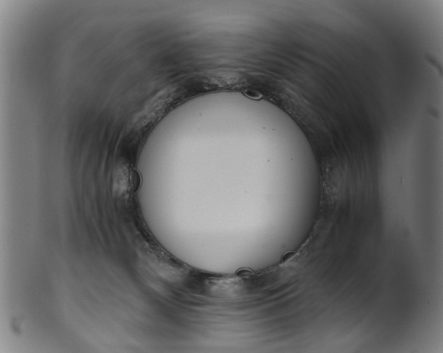 X0000101660132200807241426