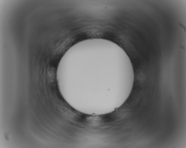 X0000101660133200807241426