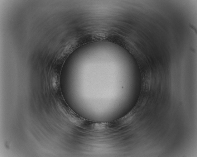 X0000101660134200807241426