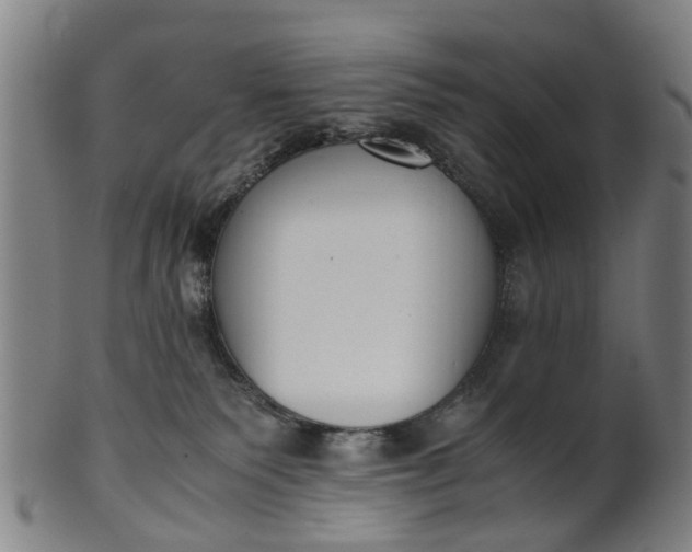 X0000101660135200807241426