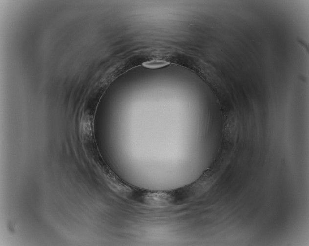 X0000101660137200807241426