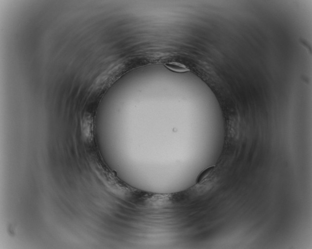 X0000101660138200807241426