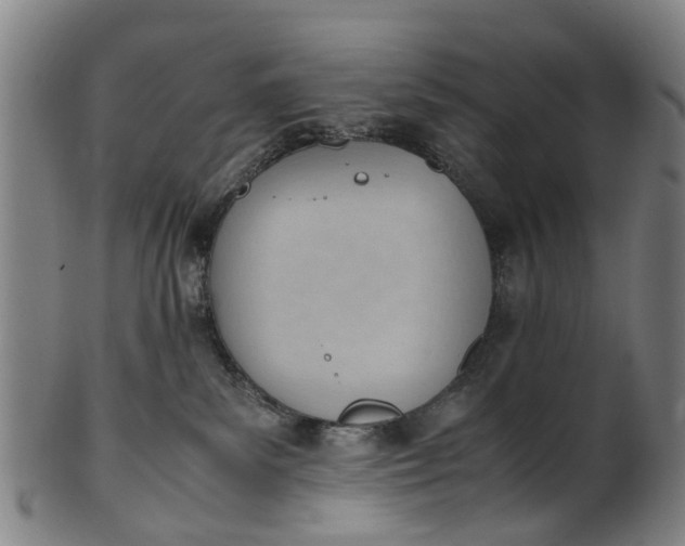 X0000101660139200807241426