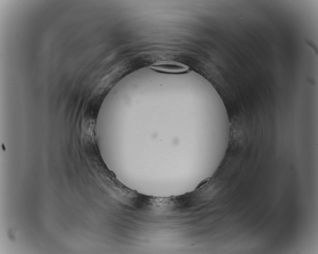 X0000101660141200807241426